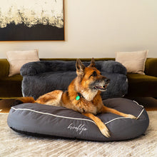Load image into Gallery viewer, Brooklyn® Chew Resistant Luxe Lounger (2-in-1 Dog Bed)