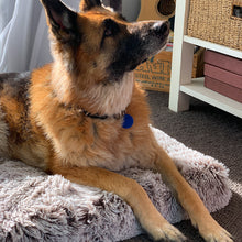 Load image into Gallery viewer, Brooklyn® Ultra Memory Foam Bed