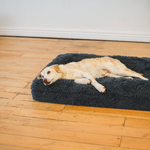 Load image into Gallery viewer, Brooklyn® Memory Foam Bolster Bed