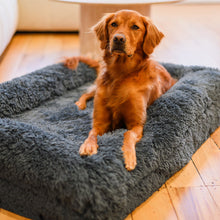 Load image into Gallery viewer, Brooklyn® Memory Foam Bolster Bed