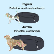 Load image into Gallery viewer, Brooklyn® Nest Dog Bed