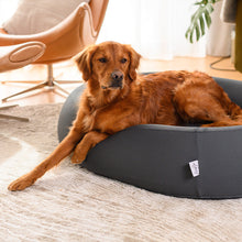 Load image into Gallery viewer, Brooklyn® Nest Dog Bed
