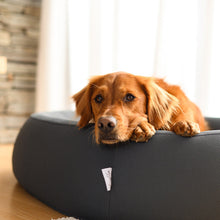 Load image into Gallery viewer, Brooklyn® Nest Dog Bed
