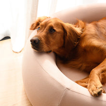 Load image into Gallery viewer, Brooklyn® Nest Dog Bed
