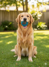 Load image into Gallery viewer, Dog Treat NZ Tennis Balls

