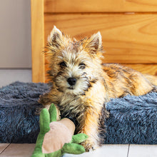 Load image into Gallery viewer, Brooklyn® Ultra Memory Foam Bed
