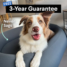 Load image into Gallery viewer, Brooklyn® Nest Dog Bed

