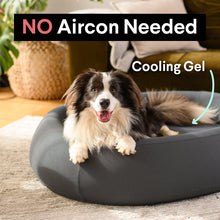 Load image into Gallery viewer, Brooklyn® Nest Dog Bed
