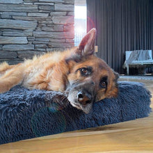 Load image into Gallery viewer, Brooklyn® Ultra Memory Foam Bed
