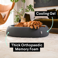 Load image into Gallery viewer, Brooklyn® Nest Dog Bed
