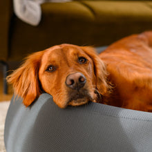 Load image into Gallery viewer, Brooklyn® Nest Dog Bed
