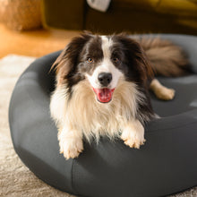 Load image into Gallery viewer, Brooklyn® Nest Dog Bed
