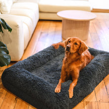 Load image into Gallery viewer, Brooklyn® Memory Foam Bolster Bed
