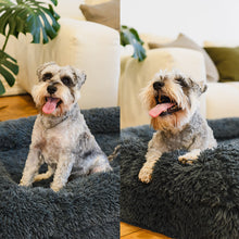 Load image into Gallery viewer, Brooklyn® Memory Foam Bolster Bed
